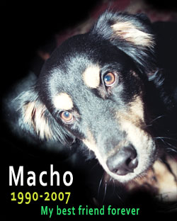Macho, 1990-2007, My best friend forever